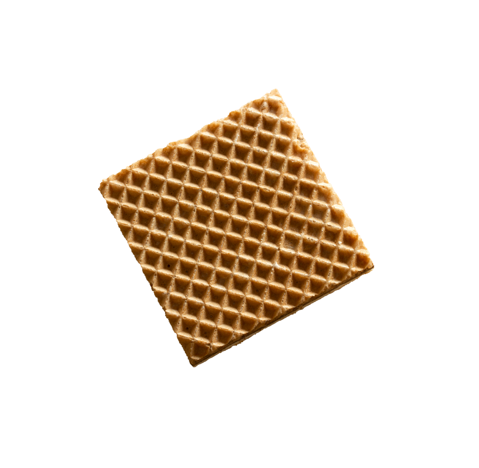 Wafer